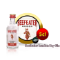 BEEFEATER PACK 12 UNIDADSE